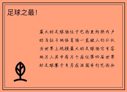 足球之最！