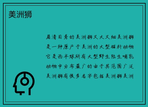 美洲狮